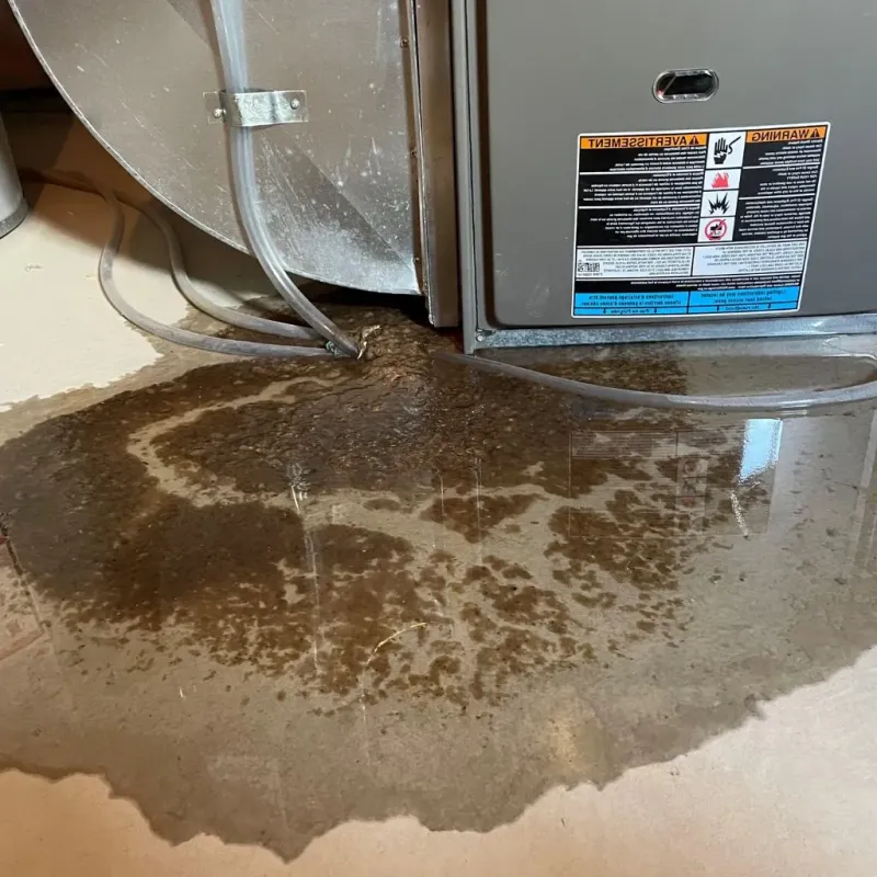 Pipe Burst and Leak Restoration in Dunkirk Town Center, MD